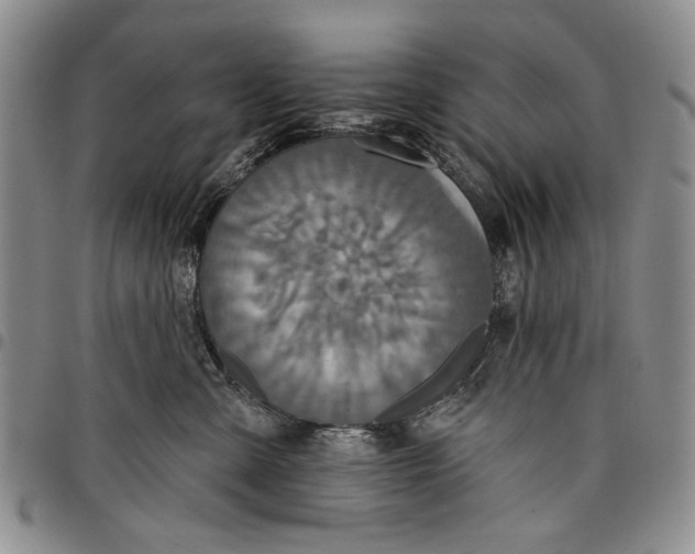 X0000097950427200804141008