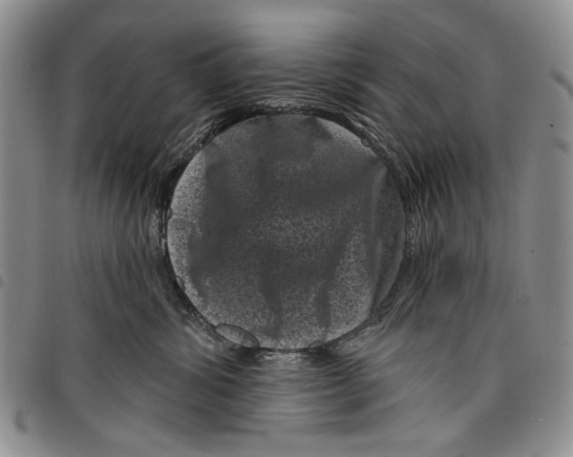 X0000097950428200804141008