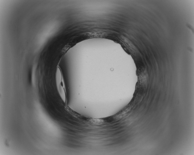 X0000097950429200804141008