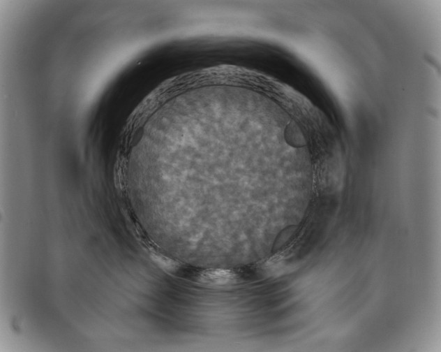 X0000097950431200804141008