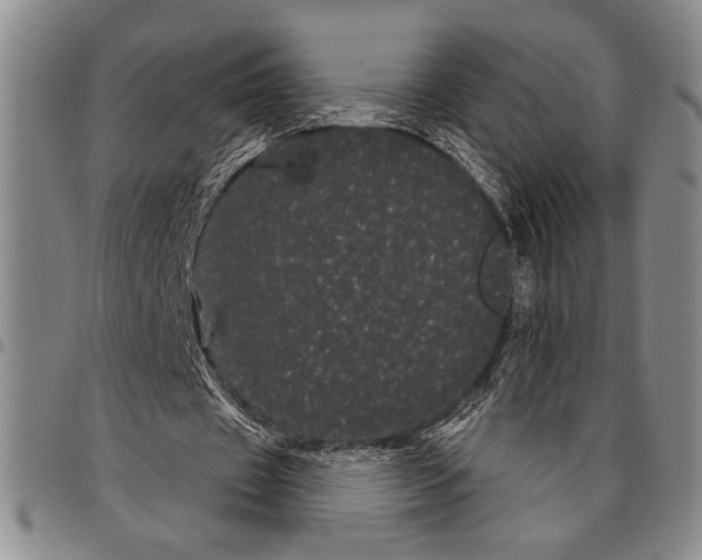 X0000097950433200804141007