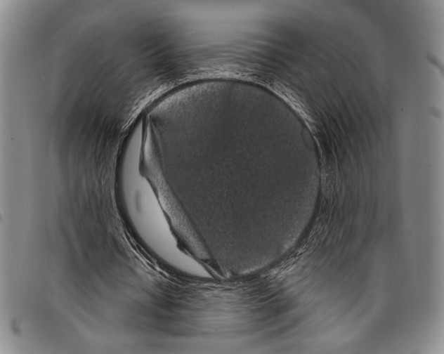 X0000097950434200804141007