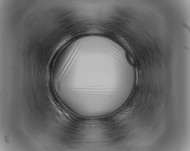 X0000097950435200804141007