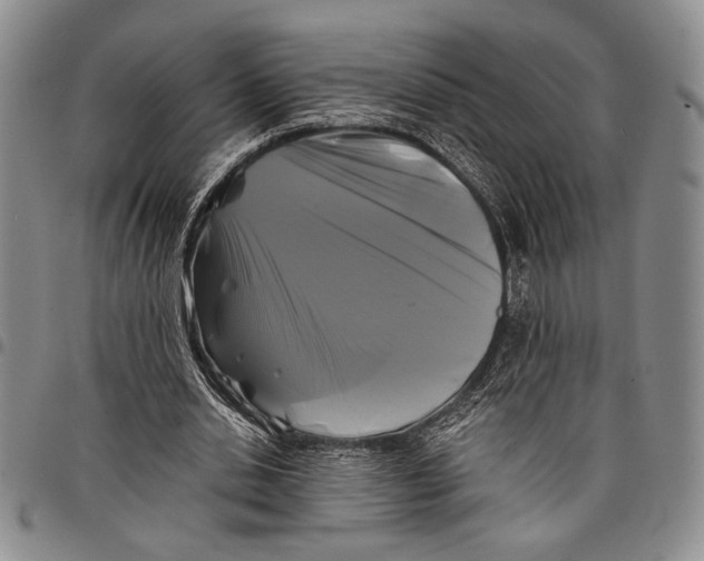 X0000097950438200804141007