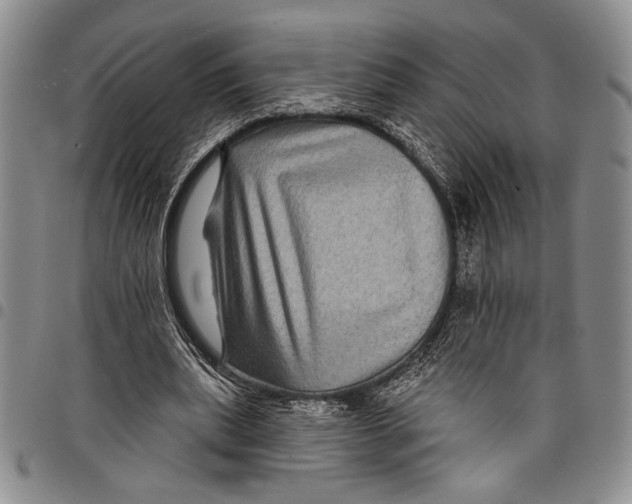 X0000097950439200804141007