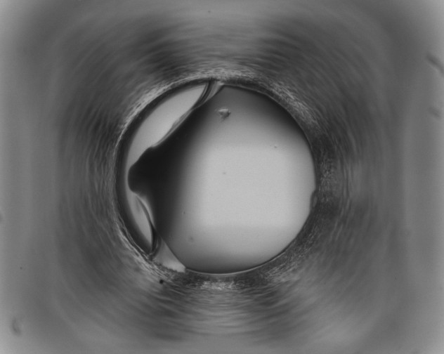 X0000097950440200804141007