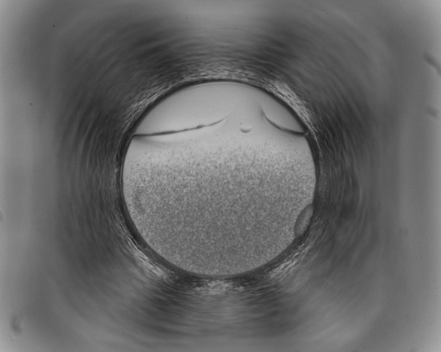 X0000097950441200804141007