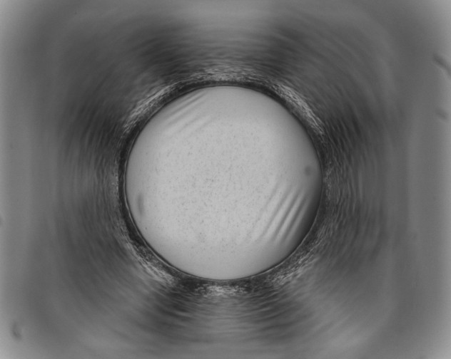 X0000097950442200804141007