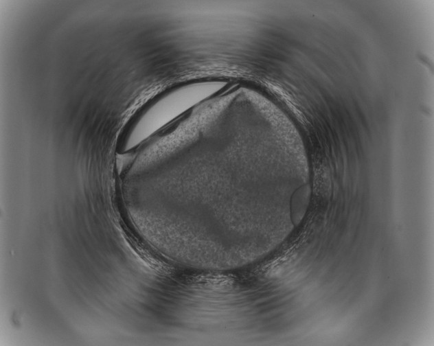 X0000097950443200804141007