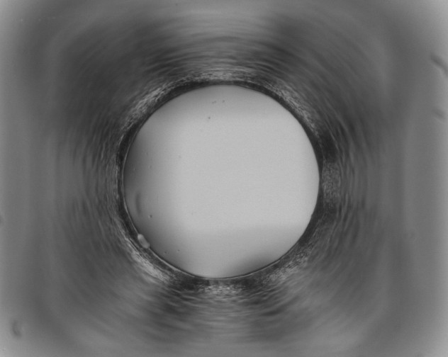 X0000097950445200804141007