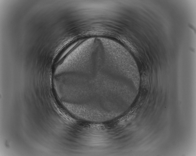 X0000097950446200804141007