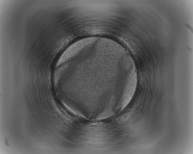 X0000097950447200804141008