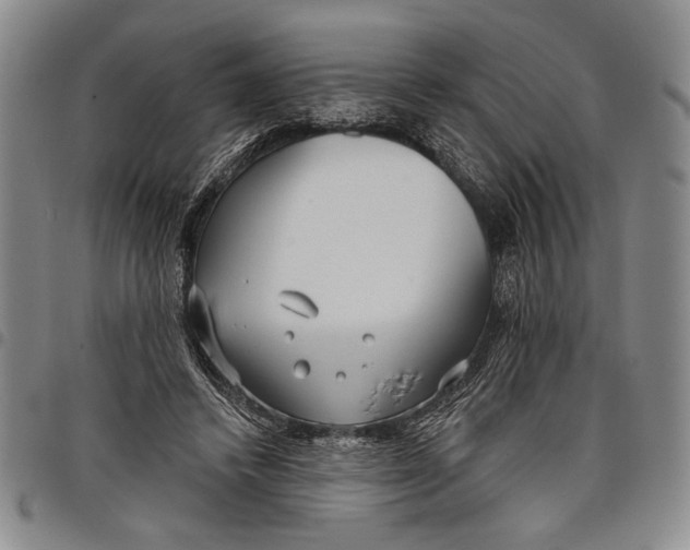 X0000097950448200804141008