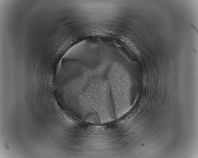 X0000097950449200804141008
