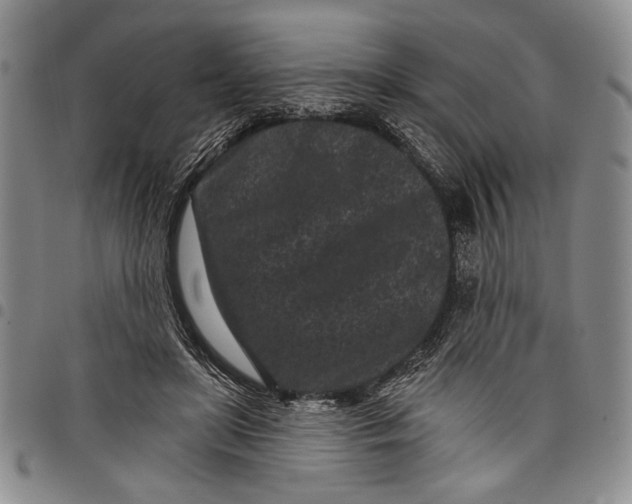 X0000097950451200804141008