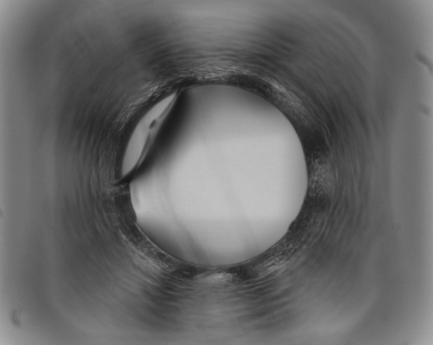 X0000097950452200804141008