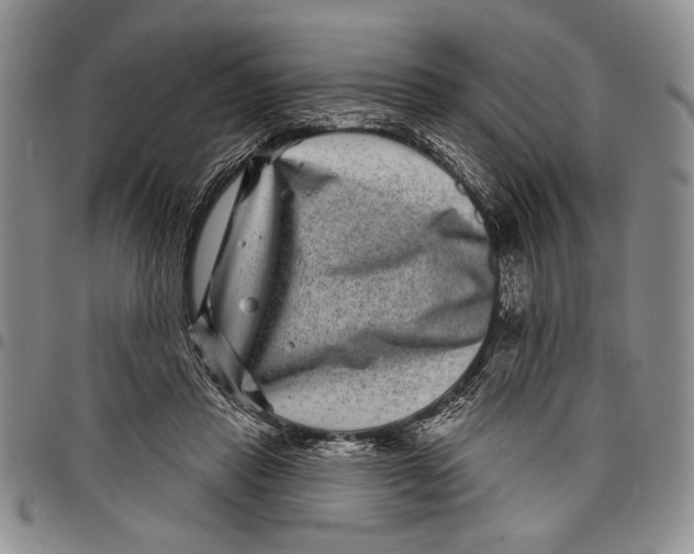 X0000097950453200804141008