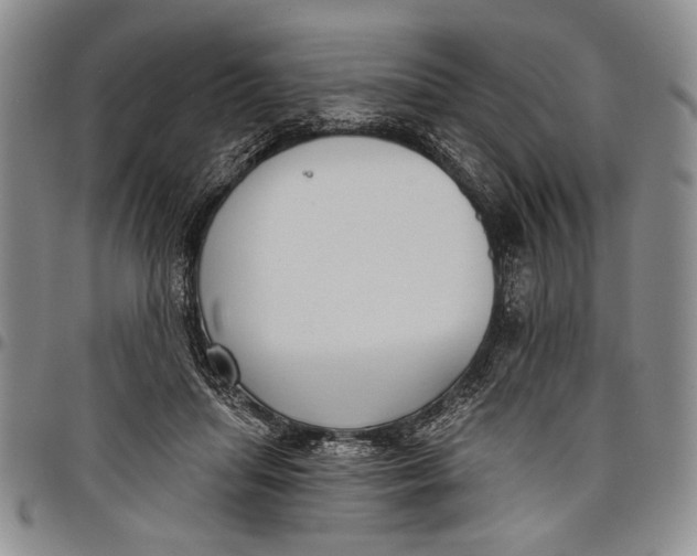 X0000097950455200804141008