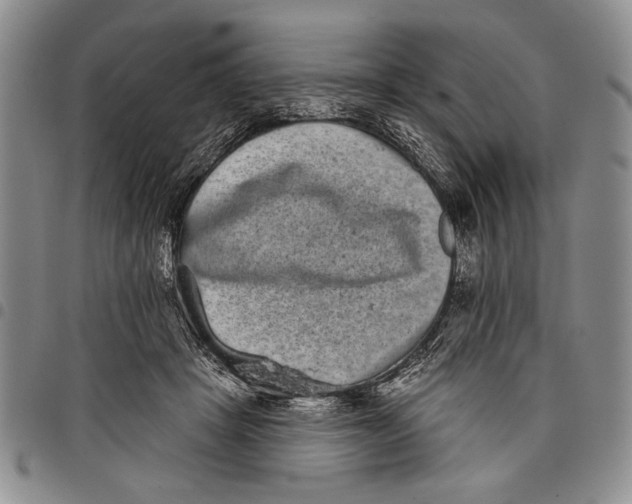X0000097950457200804141008