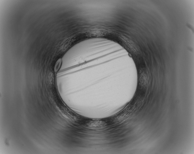 X0000097950459200804141008