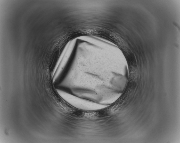X0000097950461200804141008