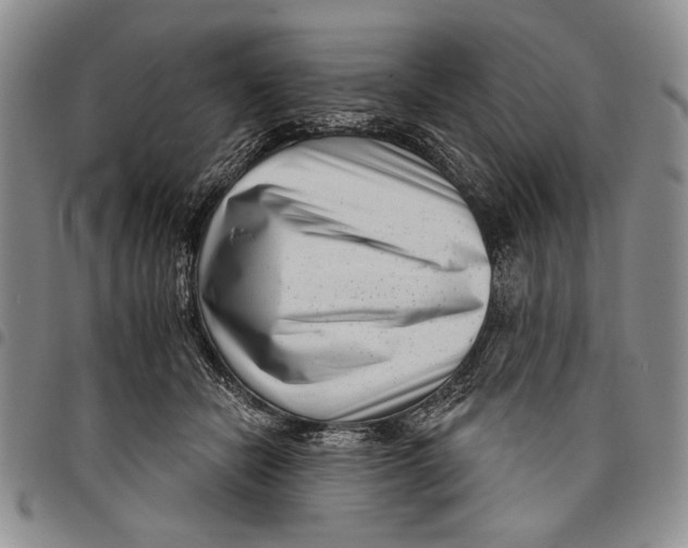 X0000097950462200804141008