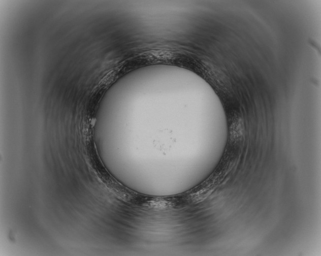 X0000097950464200804141008