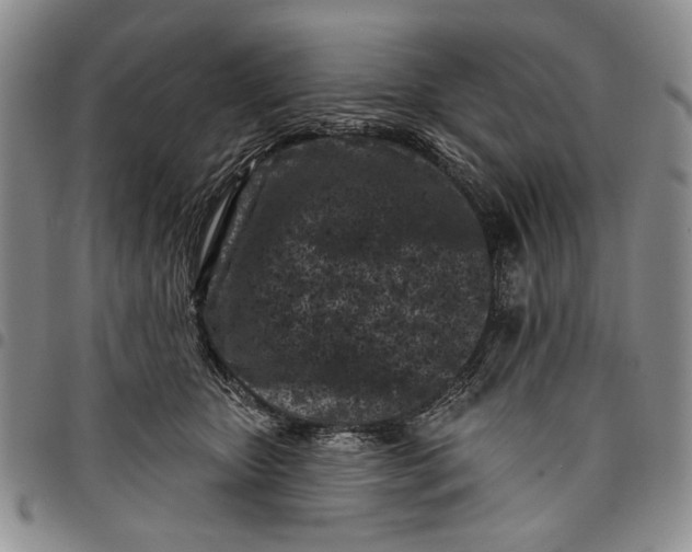 X0000097950467200804141008