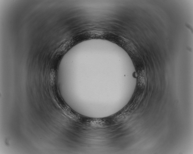 X0000097950468200804141008