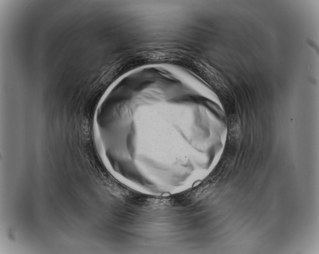 X0000097950469200804141008