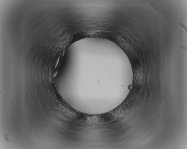X0000097950470200804141008
