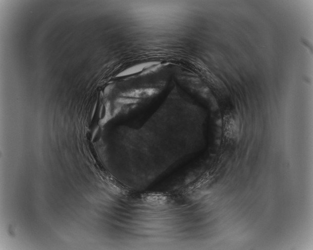 X0000097950471200804141008