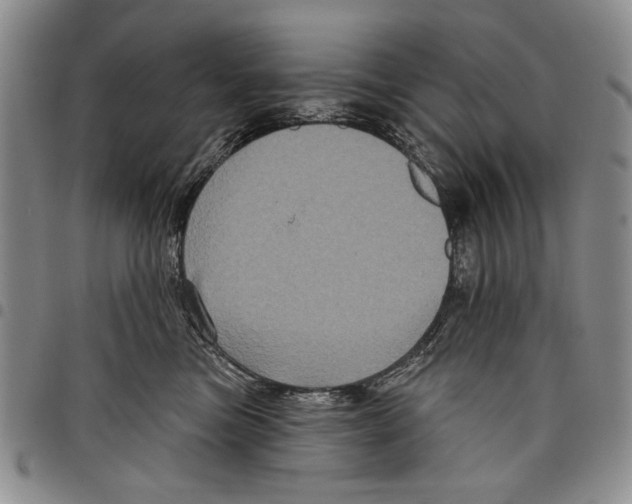 X0000097950473200804141008