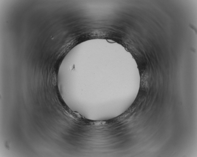 X0000097950474200804141008