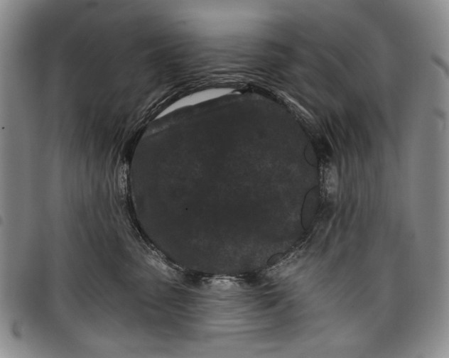 X0000097950475200804141008