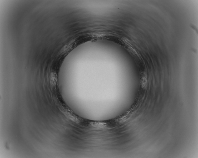 X0000097950476200804141008
