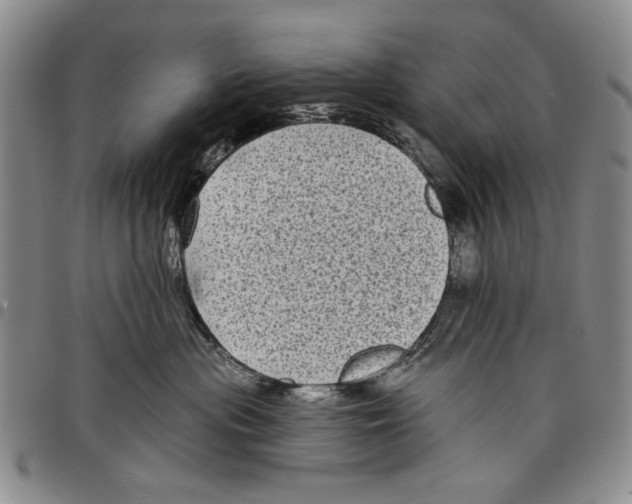 X0000097950477200804141008