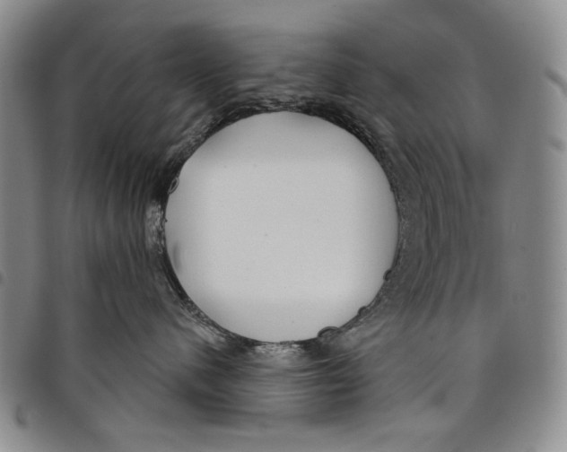 X0000097950480200804141008