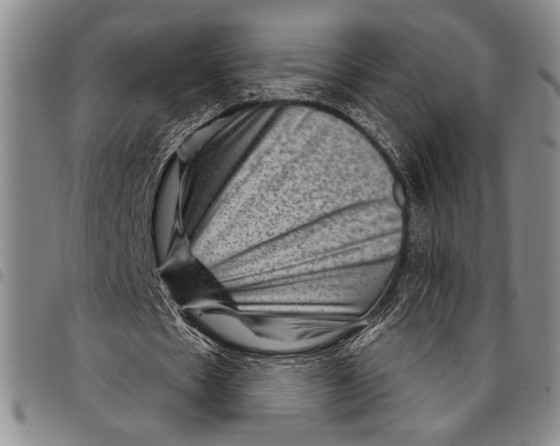 X0000097950481200804141007