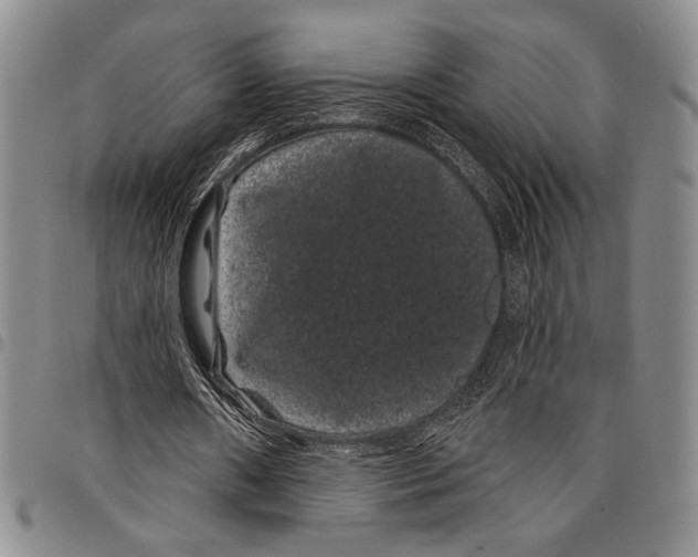 X0000097950482200804141007