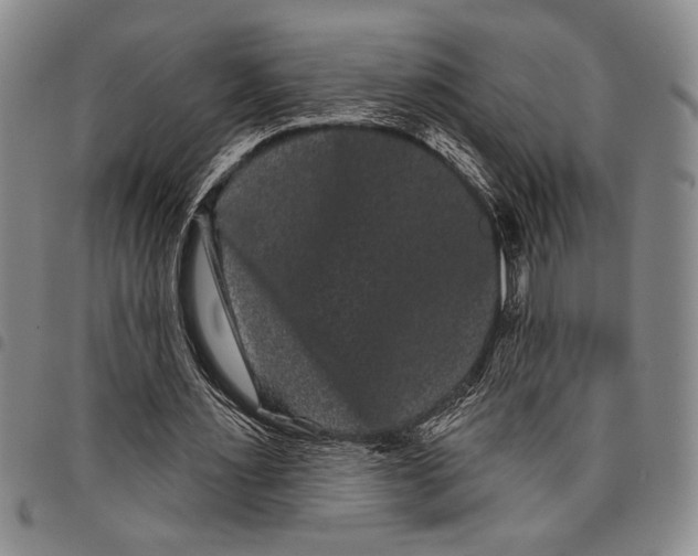 X0000097950483200804141007