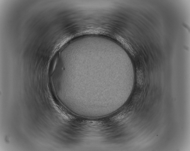 X0000097950486200804141007