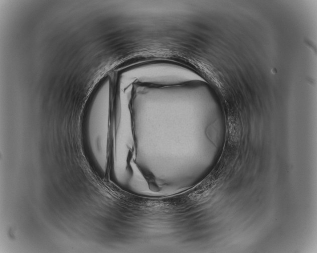 X0000097950487200804141007