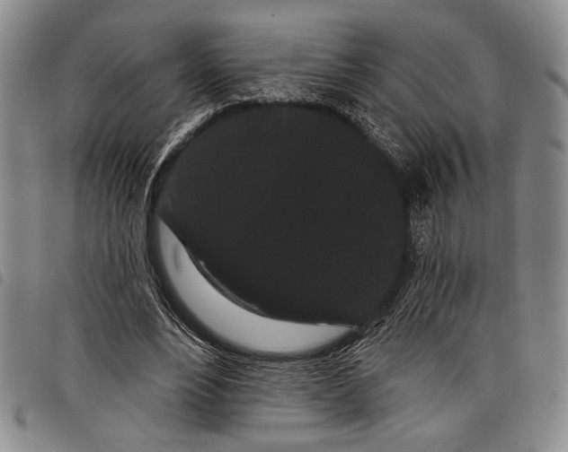 X0000097950488200804141007
