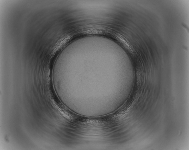 X0000097950490200804141007