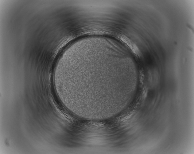 X0000097950491200804141007