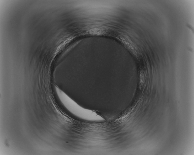 X0000097950492200804141007