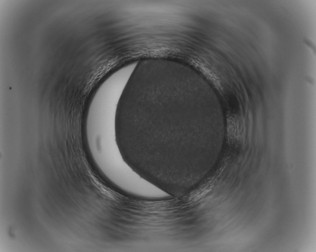X0000097950493200804141007