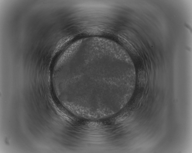 X0000097950494200804141007