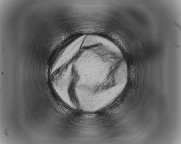 X0000097950495200804141007